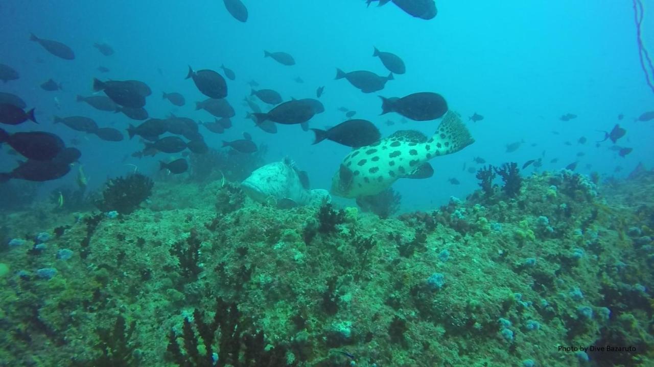 Dolphin Dhow Beach Safaris วิลันคูลอส ภายนอก รูปภาพ