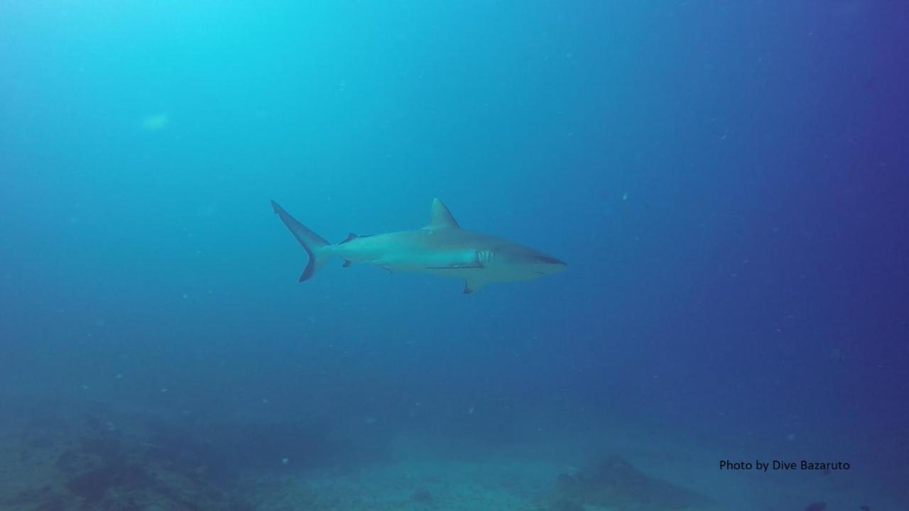 Dolphin Dhow Beach Safaris วิลันคูลอส ภายนอก รูปภาพ